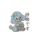 トイプードル グレー（仕事で使える敬語）（個別スタンプ：33）