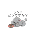 トイプードル グレー（仕事で使える敬語）（個別スタンプ：34）