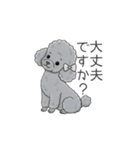 トイプードル グレー（仕事で使える敬語）（個別スタンプ：35）