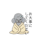 トイプードル グレー（仕事で使える敬語）（個別スタンプ：36）
