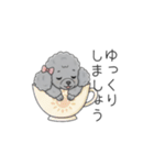 トイプードル グレー（仕事で使える敬語）（個別スタンプ：37）