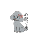 トイプードル グレー（仕事で使える敬語）（個別スタンプ：38）