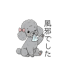 トイプードル グレー（仕事で使える敬語）（個別スタンプ：39）