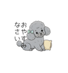トイプードル グレー（仕事で使える敬語）（個別スタンプ：40）