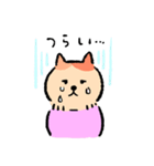 おとめねこの毎日（個別スタンプ：19）