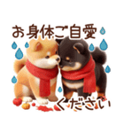 柴犬のスタンプ【秋】（個別スタンプ：38）