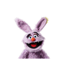 あつまれ紫アニ丸1（個別スタンプ：16）