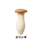 秋の風物詩/秋の味覚/図鑑スタンプ（個別スタンプ：16）