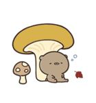 くまのぽんこつの秋日和。（個別スタンプ：10）