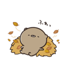 くまのぽんこつの秋日和。（個別スタンプ：14）