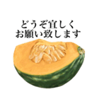 【ビジネス敬語】 国産かぼちゃ（個別スタンプ：2）