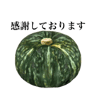 【ビジネス敬語】 国産かぼちゃ（個別スタンプ：7）