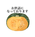 【ビジネス敬語】 国産かぼちゃ（個別スタンプ：11）