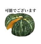 【ビジネス敬語】 国産かぼちゃ（個別スタンプ：13）