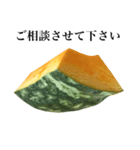 【ビジネス敬語】 国産かぼちゃ（個別スタンプ：18）