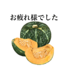 【ビジネス敬語】 国産かぼちゃ（個別スタンプ：19）