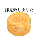 【ビジネス敬語】 国産かぼちゃ（個別スタンプ：23）