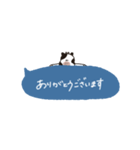 ゆるい牛の省エネすたんぷ（個別スタンプ：11）