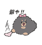 お嬢様ポメトーン（個別スタンプ：10）