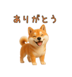 【3D動物】ゆる～い日常会話向けスタンプ（個別スタンプ：22）