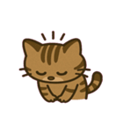 闇の眼イリオモテヤマネコ@SFW（個別スタンプ：4）