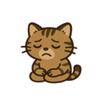 闇の眼イリオモテヤマネコ@SFW（個別スタンプ：11）