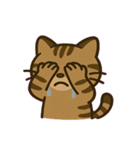 闇の眼イリオモテヤマネコ@SFW（個別スタンプ：14）