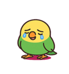 しゃべるインコ@SFW（個別スタンプ：4）
