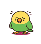しゃべるインコ@SFW（個別スタンプ：8）