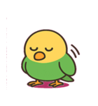 しゃべるインコ@SFW（個別スタンプ：11）