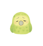 飛べないオウム！日常癒し系カカポ（個別スタンプ：3）