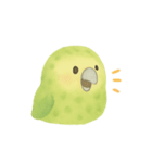 飛べないオウム！日常癒し系カカポ（個別スタンプ：4）