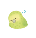 飛べないオウム！日常癒し系カカポ（個別スタンプ：6）