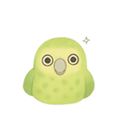 飛べないオウム！日常癒し系カカポ（個別スタンプ：10）