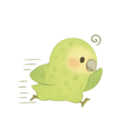 飛べないオウム！日常癒し系カカポ（個別スタンプ：15）