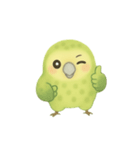 飛べないオウム！日常癒し系カカポ（個別スタンプ：16）