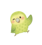 飛べないオウム！日常癒し系カカポ（個別スタンプ：20）