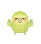 飛べないオウム！日常癒し系カカポ（個別スタンプ：21）