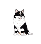 犬の日スタンプ♡ふんわりアニメ犬たち（個別スタンプ：2）