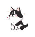 犬の日スタンプ♡ふんわりアニメ犬たち（個別スタンプ：12）