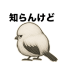太々しい鳥（シマエナガ）（個別スタンプ：1）