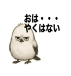 太々しい鳥（シマエナガ）（個別スタンプ：2）