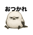 太々しい鳥（シマエナガ）（個別スタンプ：3）