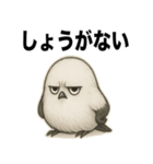 太々しい鳥（シマエナガ）（個別スタンプ：10）