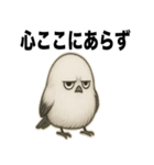 太々しい鳥（シマエナガ）（個別スタンプ：13）