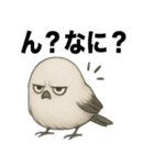 太々しい鳥（シマエナガ）（個別スタンプ：23）