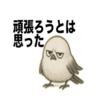 太々しい鳥（シマエナガ）（個別スタンプ：36）