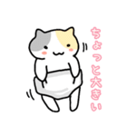 パンツと猫2（個別スタンプ：3）