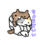 パンツと猫2（個別スタンプ：4）
