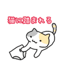 パンツと猫2（個別スタンプ：6）